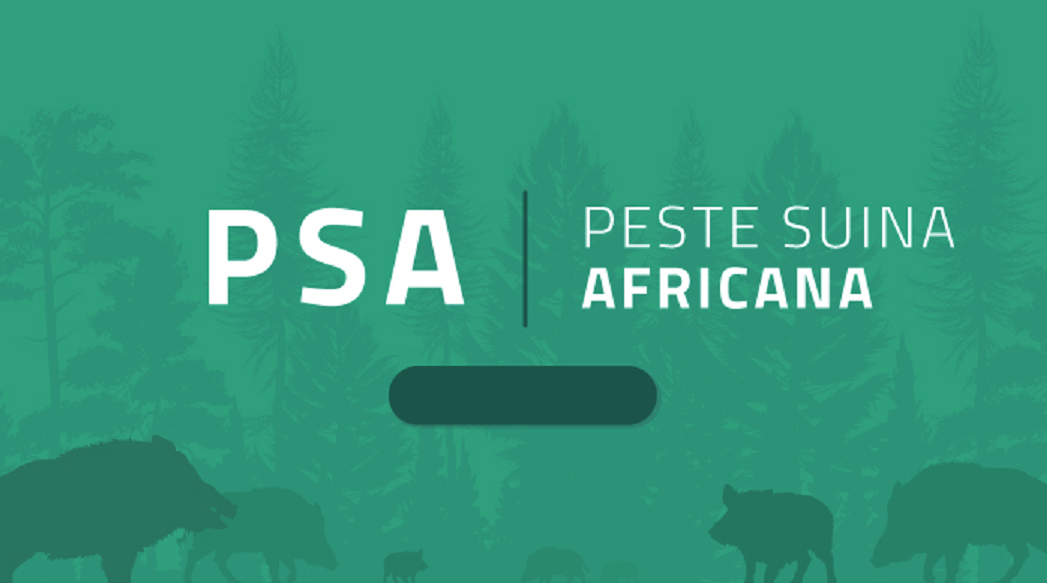 Avvertenze Peste Suina Africana
