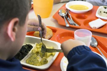 Menù estivo servizio mensa scolastica
